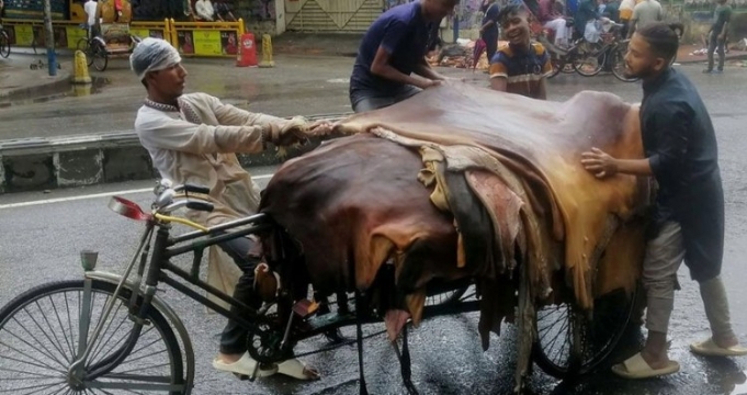  কোরবানির পশুর চামড়ার দাম নির্ধারণ করেছে সরকার